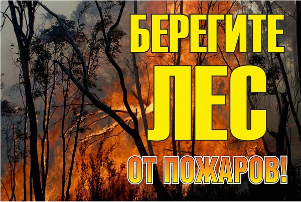 Знак металл "Берегите лес от огня!" (800x1200) EKF PROxima …
