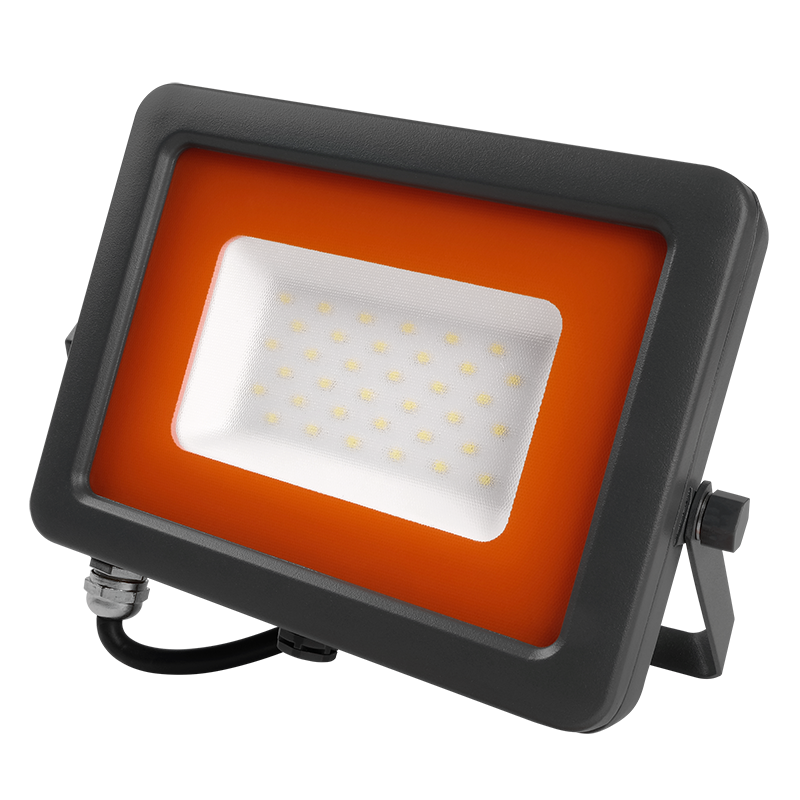 Прожектор светодиодный СДО  PFL- S2 -SMD- 30w IP65 NEW(с клапаном)