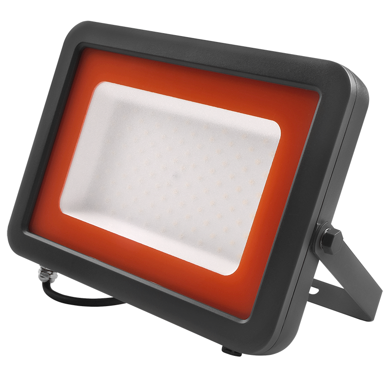 Прожектор светодиодный СДО  PFL- S2 -SMD-100w IP65 NEW(с клапаном)