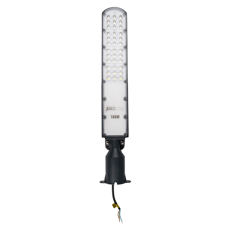 Светильник светодиодный консольный PSL 09 100W 5000K GR IP65