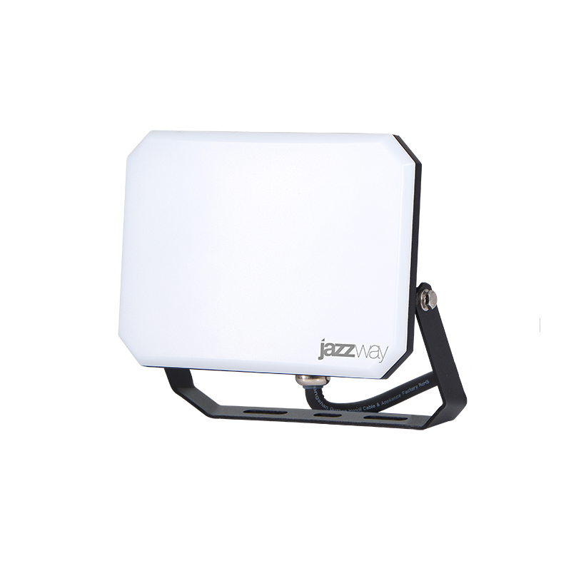 Прожектор светодиодный PFL-SA  50W OPAL 6500K IP65