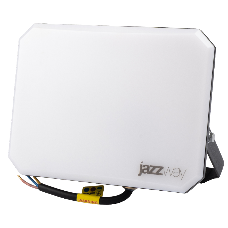 Прожектор светодиодный PFL-SA 100W OPAL 6500K IP65