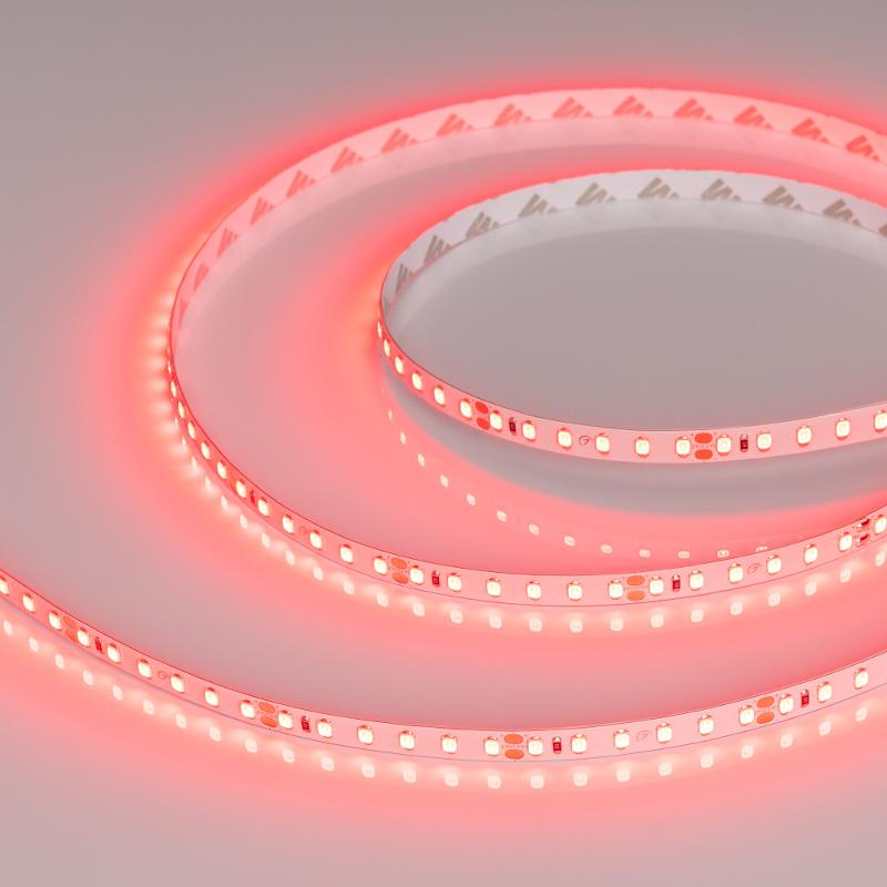 Светодиодная лента RT-A120-8mm 24V Red (9.6 W/m, IP20, 2835, 5m) (Arlight, 9.6 Вт/м, IP20)