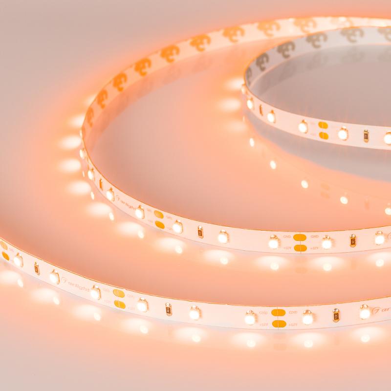 Лента светодиодная RT-A60-8mm 12V Orange (4.8 W/m, IP20, 2835, 5m) (arlight, -)