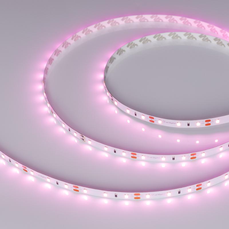 Лента светодиодная RT-A60-8mm 12V Pink (4.8 W/m, IP20, 2835, 5m) (arlight, 4.8 Вт/м, IP20)