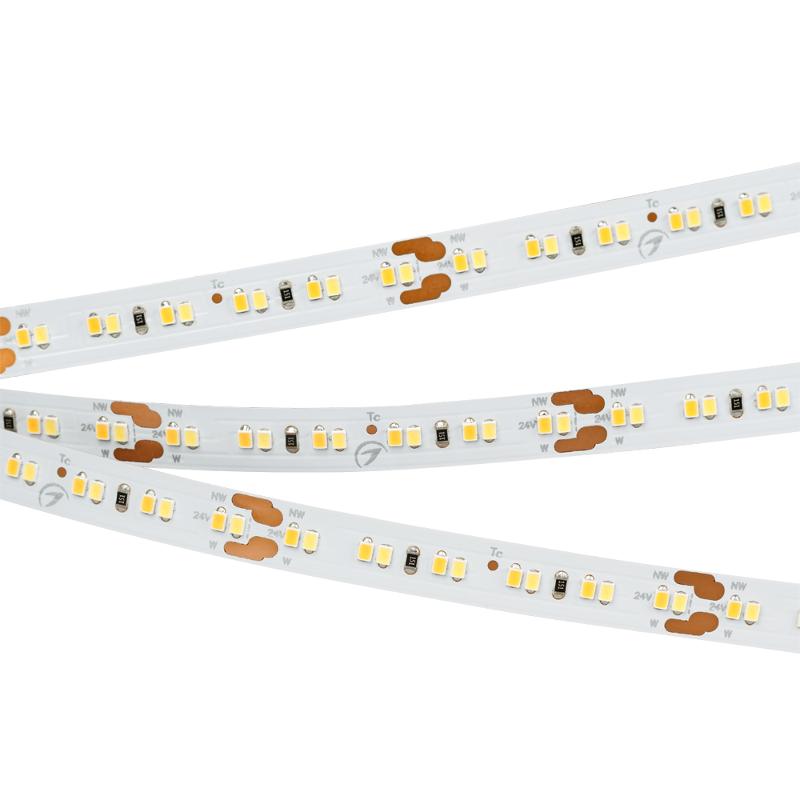 Лента светодиодная MICROLED-M240-8mm 24V White-CDW (9.6 W/m, IP20, 2216, 5m) (arlight, Открытый)