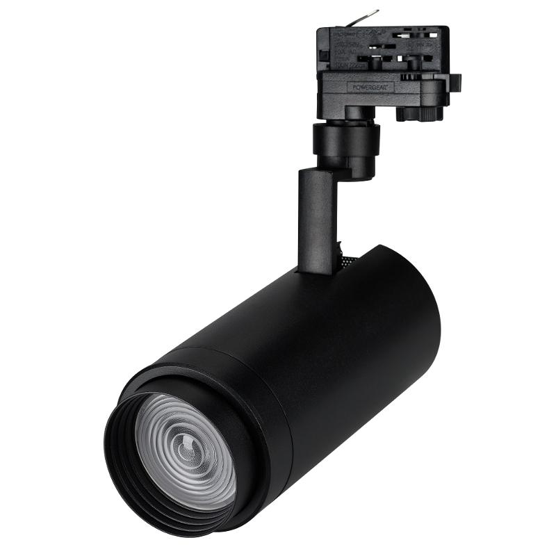 Светильник LGD-ZEUS-TRUECOLOR-4TR-R100-30W Day4000 CRI98 (BK, 20-60 deg, 230V) (Arlight, IP20 Металл, 3 года)