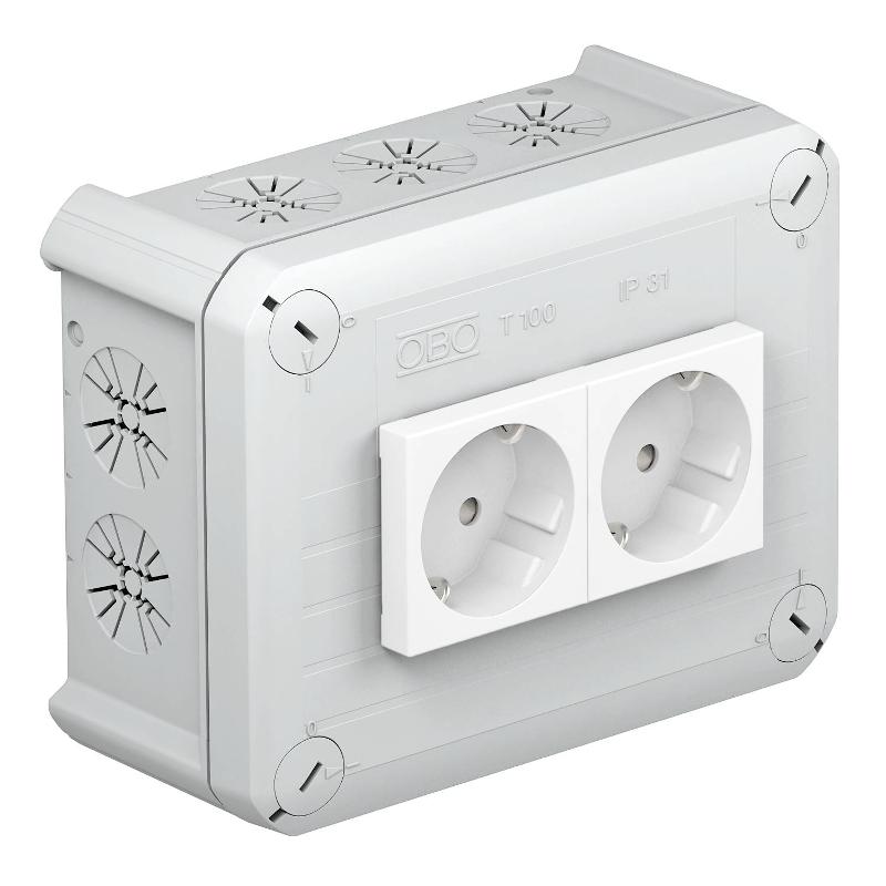 Коробка распределительная T100, 150x116x67 мм мм, с 2 Modul 45 (T 100 2MSD WS)
