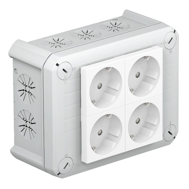 Коробка распределительная T100, 150x116x67 мм, с 4 Modul 45 (T 100 4MSD WS)