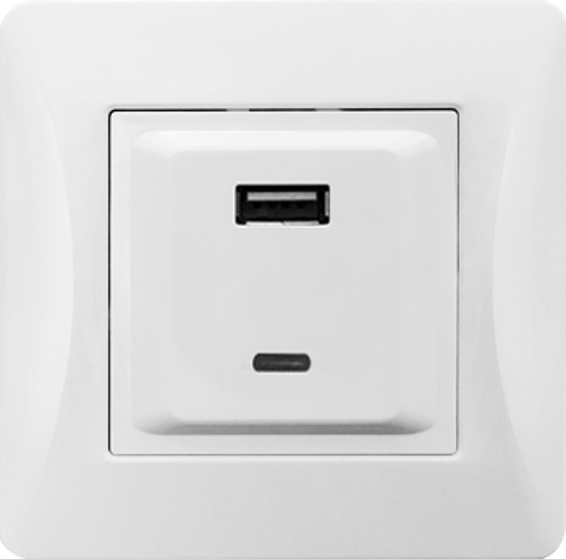 Розетка 2xUSB A/C, 125-250V (белый)