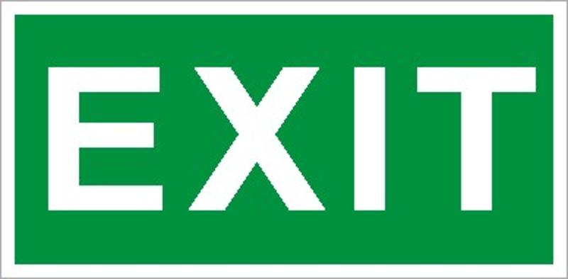 Пиктограмма ПЭУ 012 Exit (280х162) РС-I