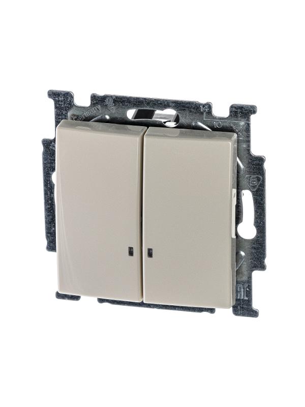 ABB Basic 55 Сл. кость Выключатель 2-клавишный с подсветкой
