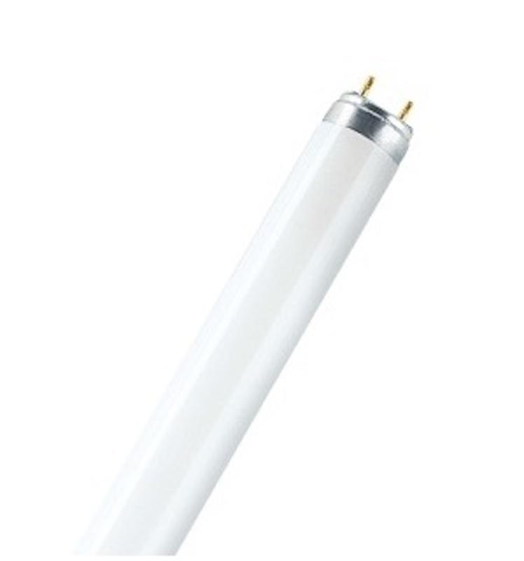 Лампа линейная люминесцентная  L 58W/840 25X1
