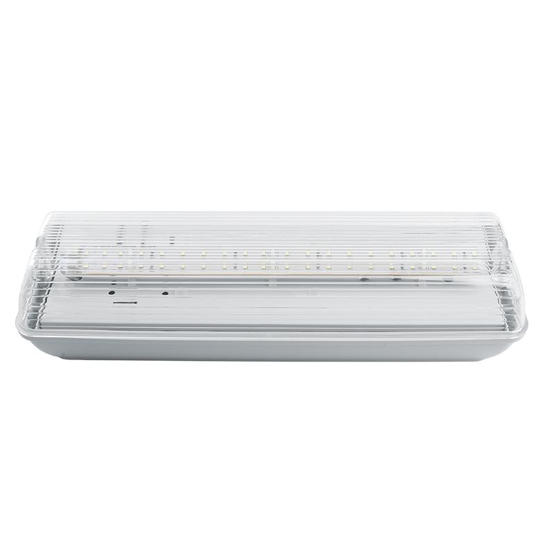 Светильник аварийный, 20 LED AC/DC, белый, EM101 с наклейкой ВЫХОД IP65 3 часа