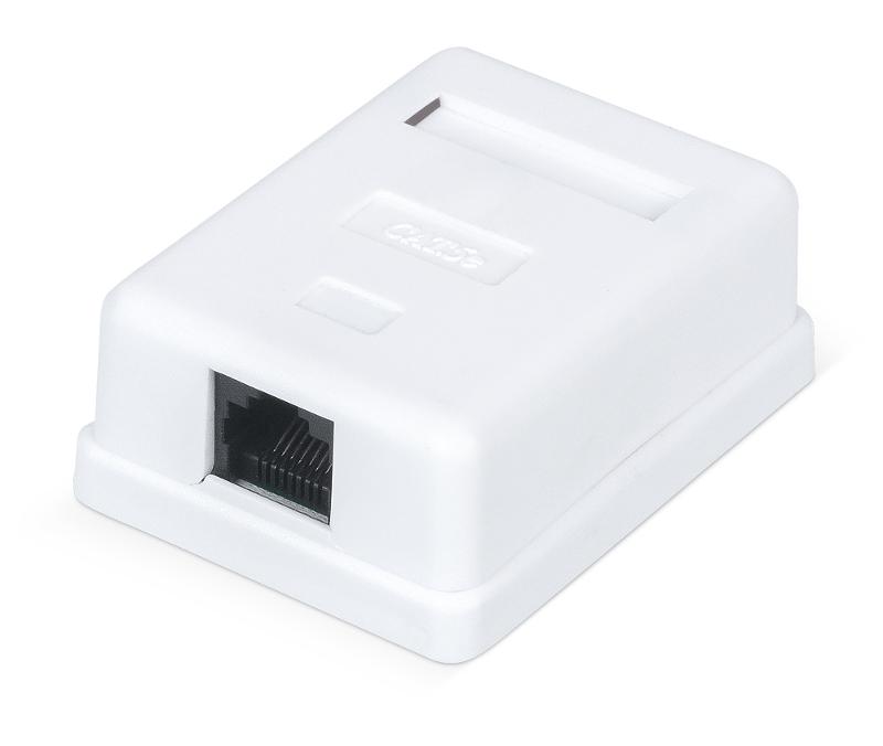 WR-WS-8P8C-C5E-1 Розетка компьютерная RJ-45, кат., 5e, неэкран.,, одинарная, внешняя, Dual IDC, цвет белый