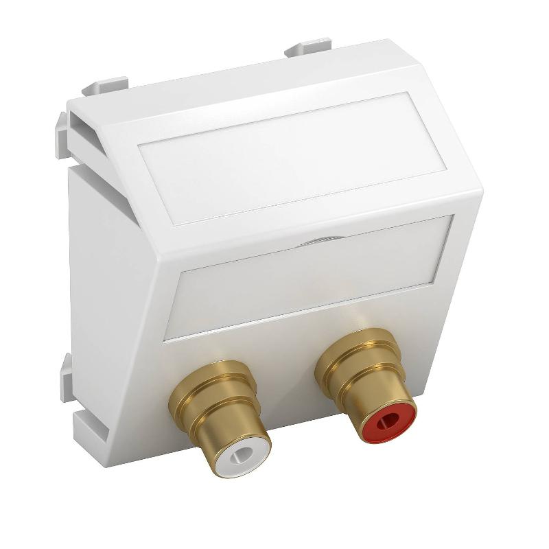 Мультимедийная рамка Audio-Cinch Modul45 (белый) (MTS-2R L RW1)