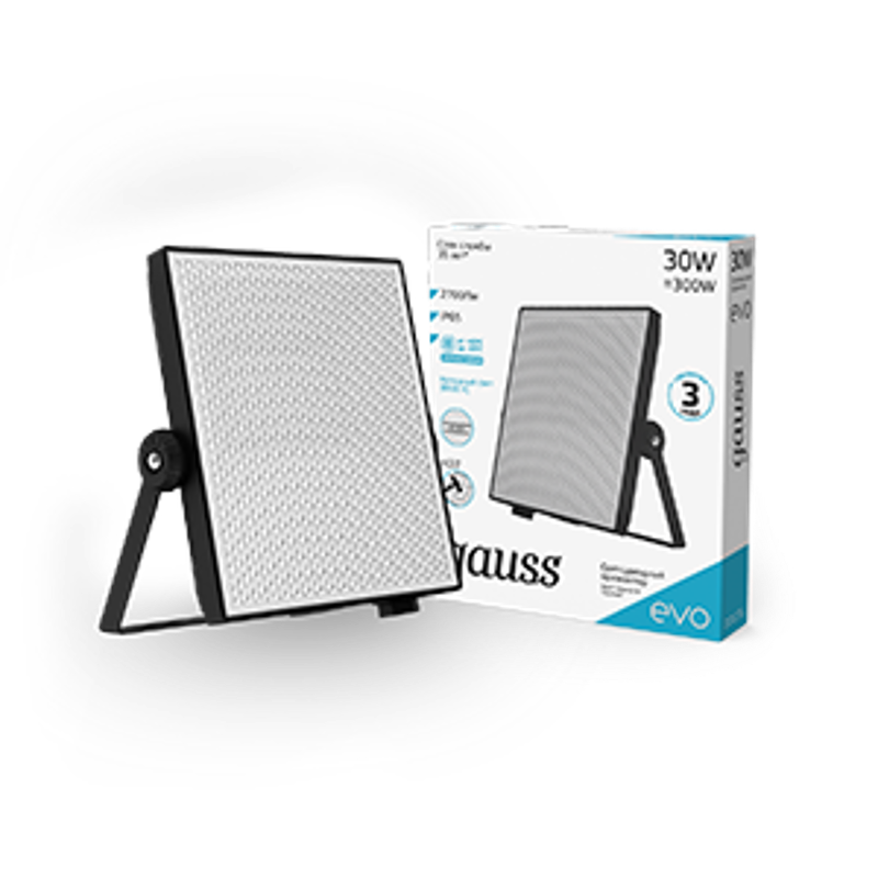 Прожектор светодиодный EVO 30W 2700 lm IP65 6500К, IK07, черный 1/30