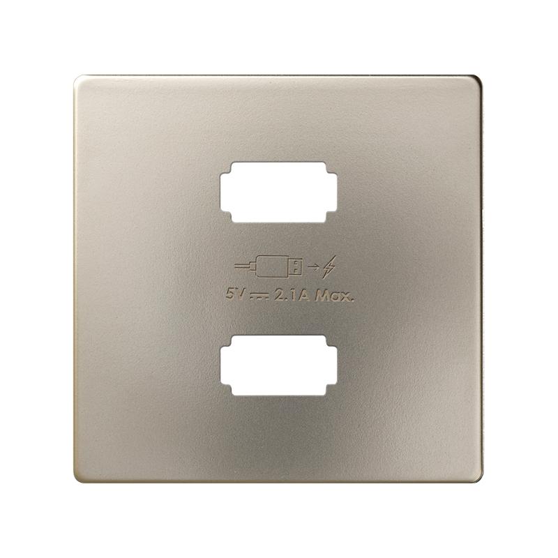 Накладка для зарядного устройства 2xUSB цвета шампань S82