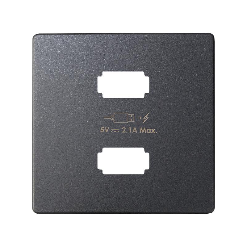 Накладка для зарядного устройства 2xUSB цвета графит S82