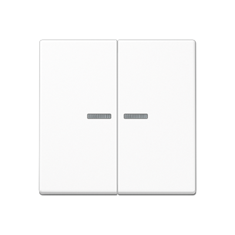 Клавиша для KNX кнопки, 2 группы, с окошком; термопласт; белый
