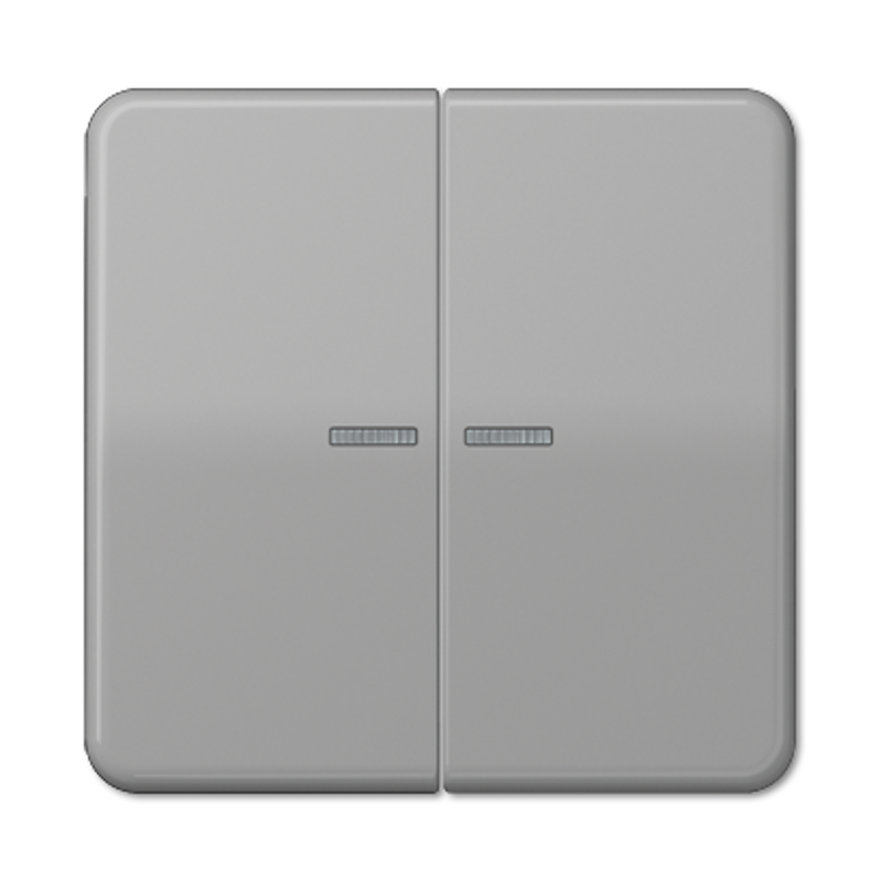 Клавиша для KNX кнопки, 2 группы с окошком; дюропласт; серый