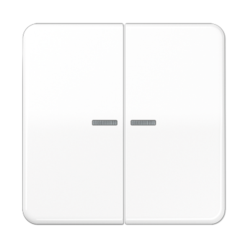 Клавиша для KNX кнопки, 2 группы с окошком; дюропласт; белый