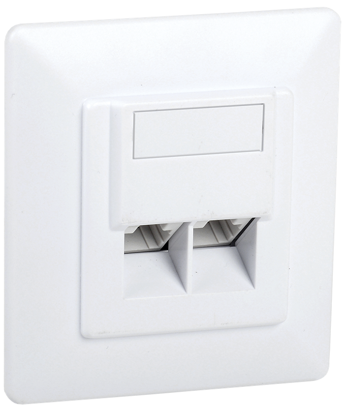 Розетка информац. для внутр. монтажа RJ45 2 порта IDC Dual