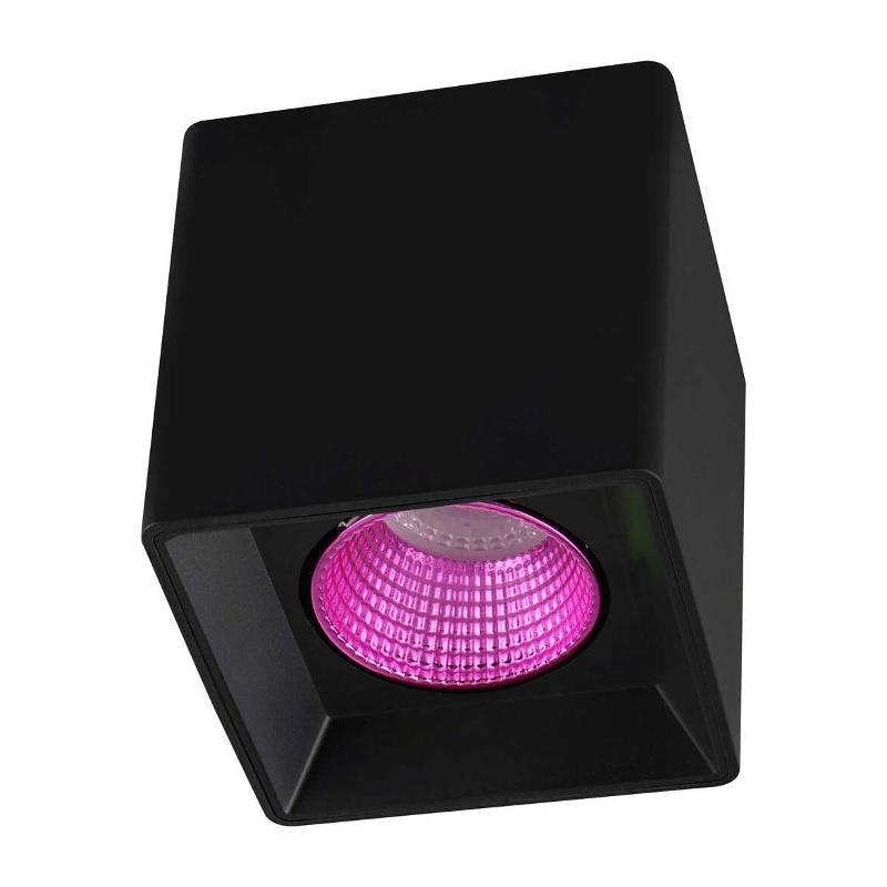 Светильник светодиодный накладной DK3080-BK+PI IP20, 10Вт, GU5.3, LED, черный/розовый, пластик