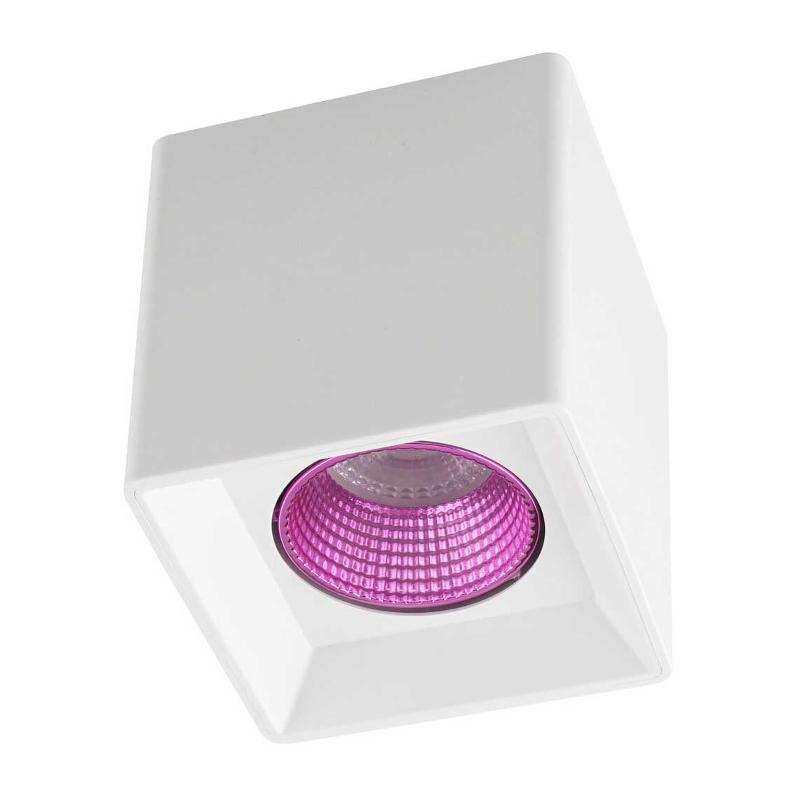 Светильник светодиодный накладной DK3080-WH+PI IP20, 10Вт, GU5.3, LED, белый/розовый, пластик
