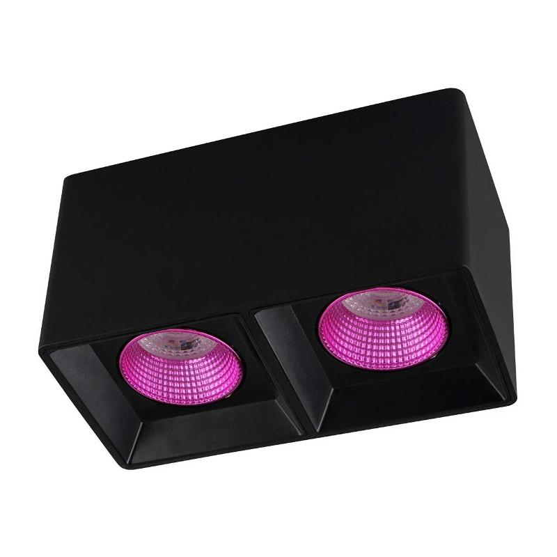 Светильник светодиодный накладной DK3085-BK+PI IP20, 10Вт, GU5.3, LED, черный/розовый, пластик