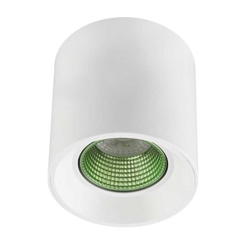 Светильник светодиодный накладной DK3090-WH+GR IP20, 10Вт, GU5.3, LED, белый/зеленый, пластик