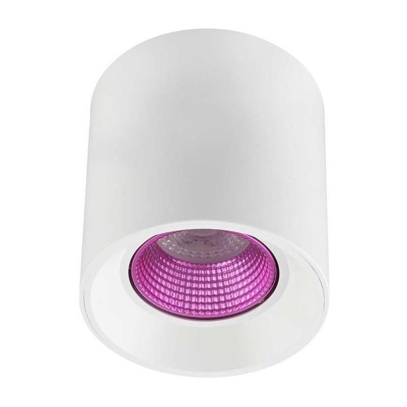 Светильник светодиодный накладной DK3090-WH+PI IP20, 10Вт, GU5.3, LED, белый/розовый, пластик