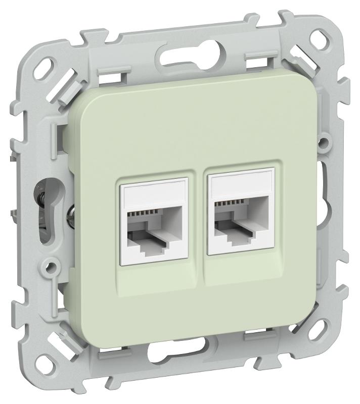 FLITE Розетка 2-ая компьютерная RJ45 кат.5Е UTP РК5е-2-0-ФлП панг