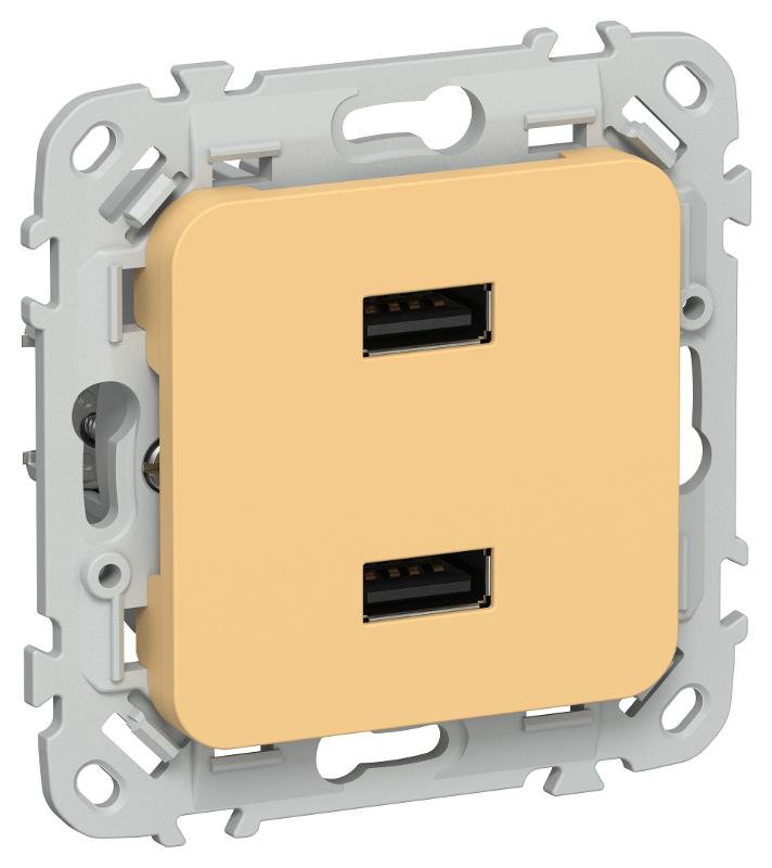FLITE Розетка USB A+A 2,1А РЮ-2-ФлЗ золотарник