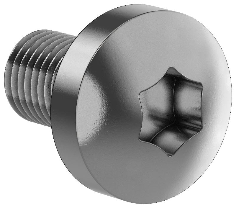 FORMAT Винт М6х10 TORX30 DIN7500C (500шт/упак)