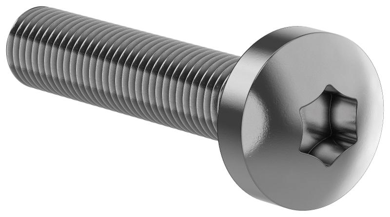 FORMAT Винт М6х30 TORX30 DIN7500C (20шт/упак)