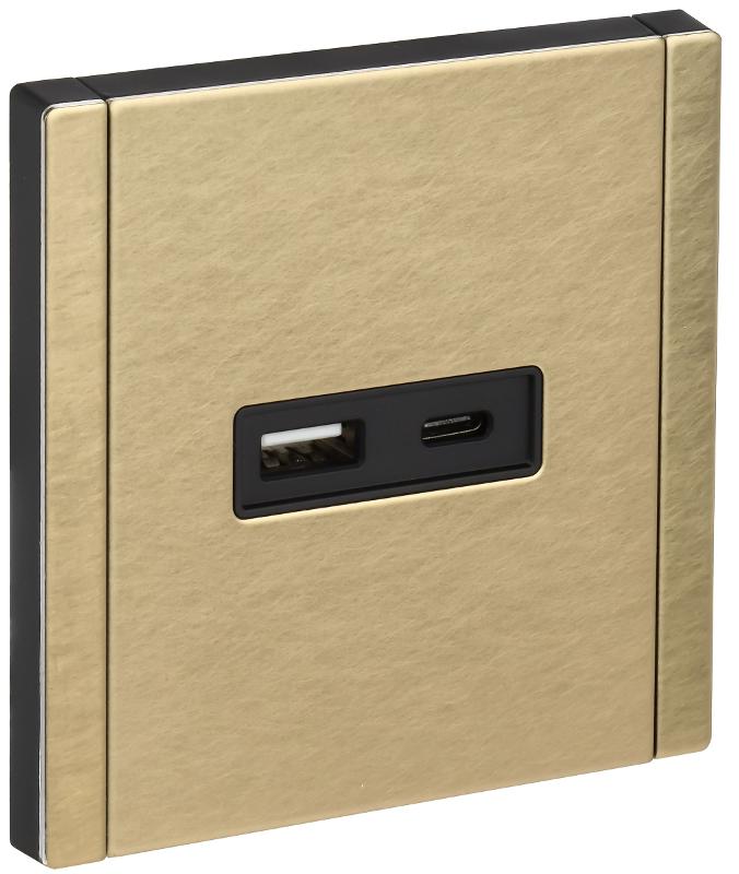 FORTE&PIANO Розетка USB A+C 3,1А FP650M металл шампань
