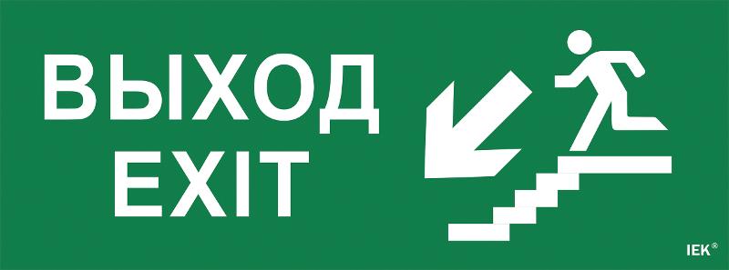 Пиктограмма (наклейка) "Выход/лестница вниз/фигура" ССА 1005