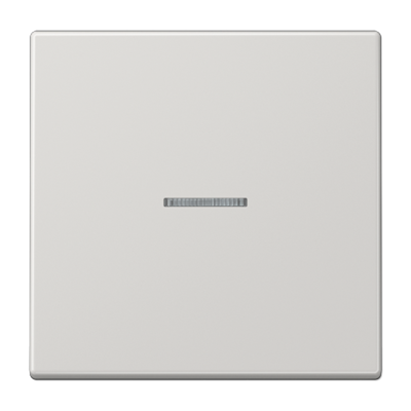 Клавиша для KNX кнопки, 1 группа, с окошком; дюропласт; светло-серый