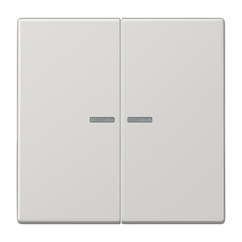 Клавиша для KNX кнопки, 2 группы, с окошком; дюропласт; светло-серый