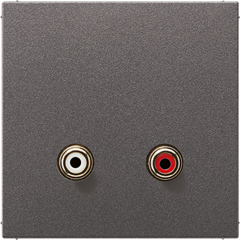 2x Cinch Audio (RCA)