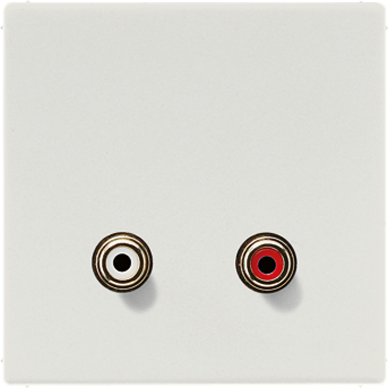 2x Cinch Audio (RCA)