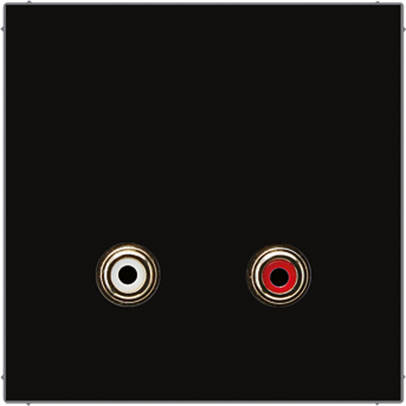 2x Cinch Audio (RCA)