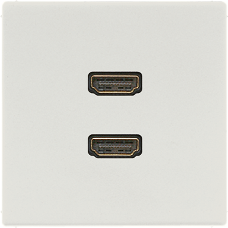 2 x HDMI