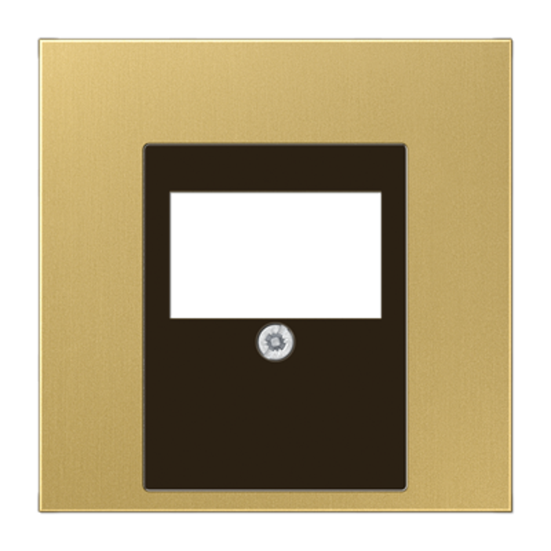 Крышка для ТАЕ и USB розеток, фиксация винтом; металл; латунь classic; Messing