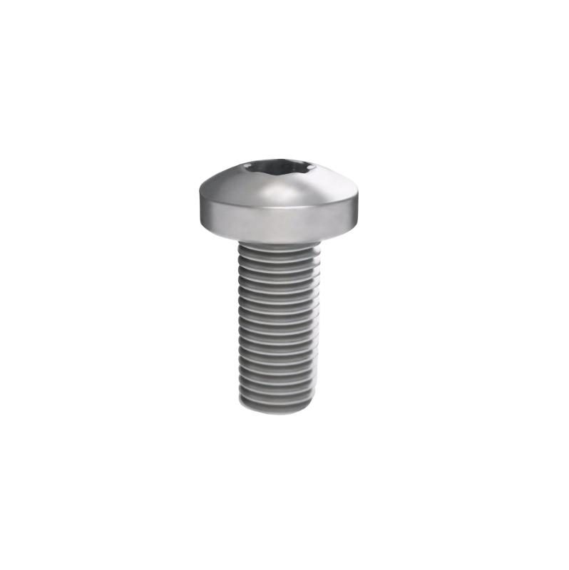 Винт М5х12 под шлиц Torx, 100 шт.