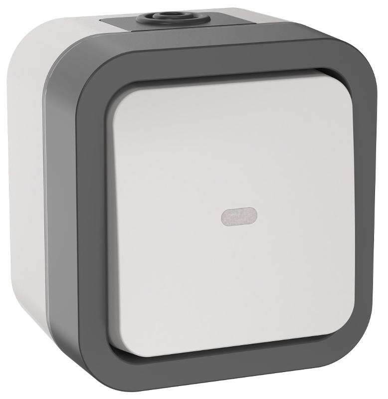 TORS Переключатель однокл. с ин. 10А IP55 TS202 белый