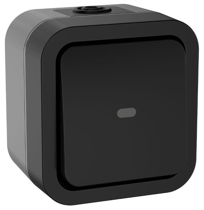TORS Переключатель однокл. с ин. 10А IP55 TS102 графит