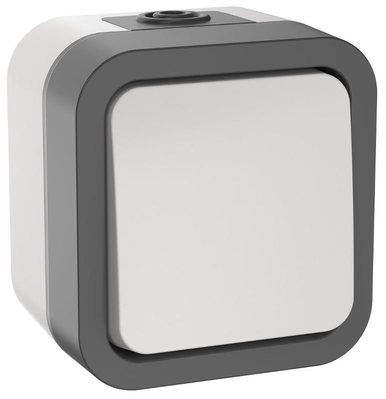 TORS Выключатель кнопочный 10А IP55 TS210 белый