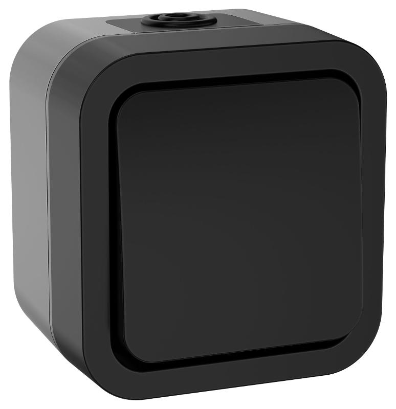 TORS Выключатель кнопочный 10А IP55 TS110 графит